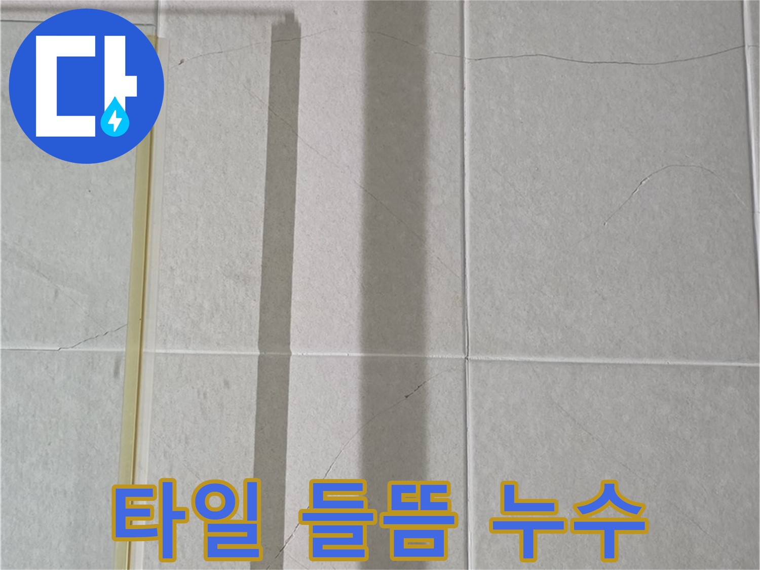 운중동 욕실 타일 들뜸 - 누수 가능성 진단 및 해결