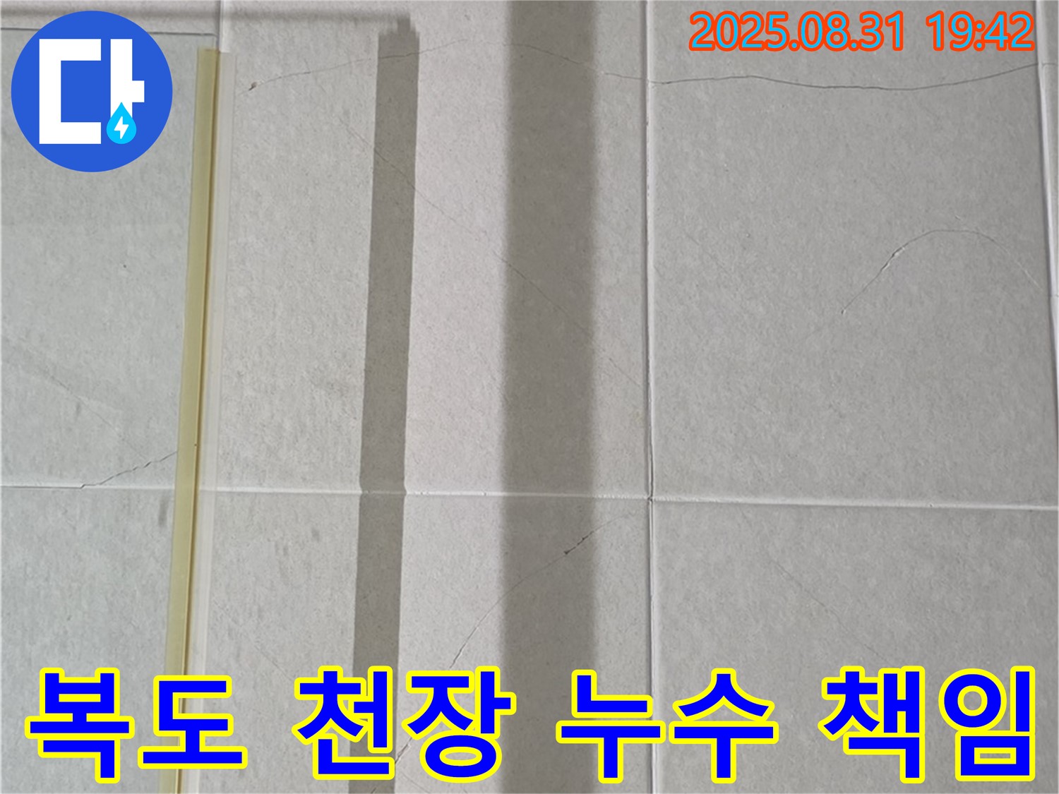 아파트 복도 천장 누수 - 윗집 책임일까?