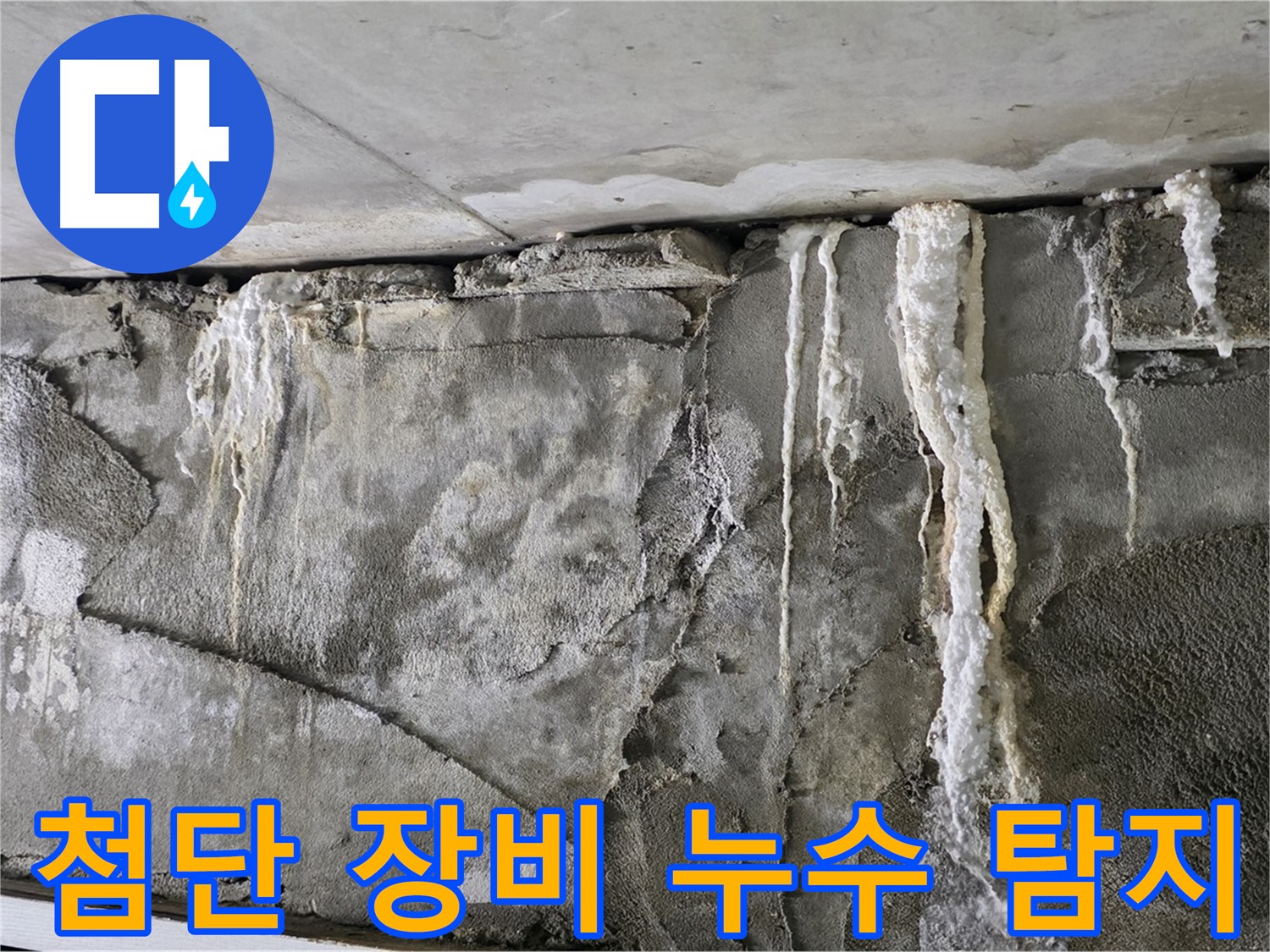 분당 누수 탐지 - 첨단 장비로 정확한 누수 지점 탐색