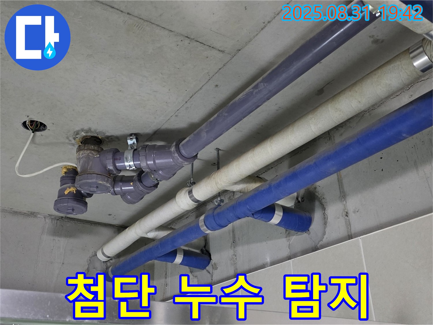 첨단 누수 탐지 - 최첨단 장비와 숙련된 기술