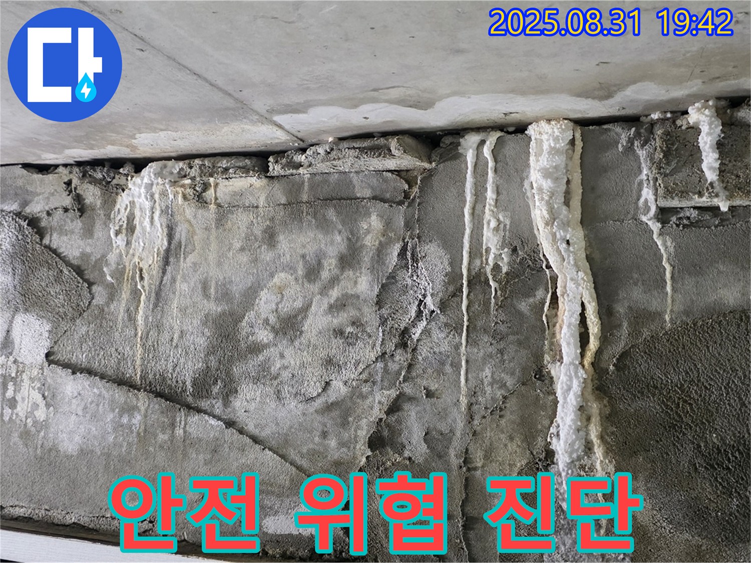 콘크리트 석회 - 건물 안전 위협, 전문 진단