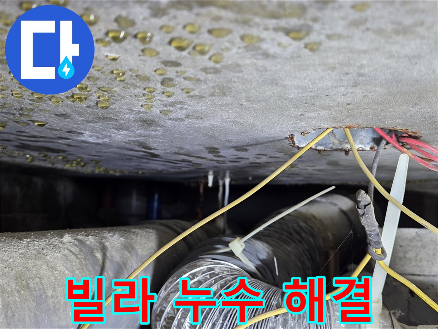 빌라 누수 문제 해결 - 광진구 능동 누수 전문가가 정확한 원인 진단 및 해결