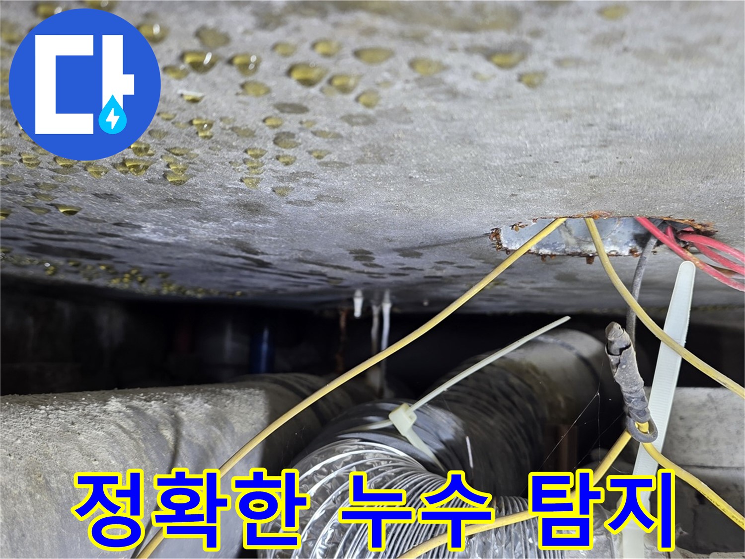 최첨단 장비 이용한 누수 탐지 - 능동 빌라 누수 지점 정확하게 찾아 해결