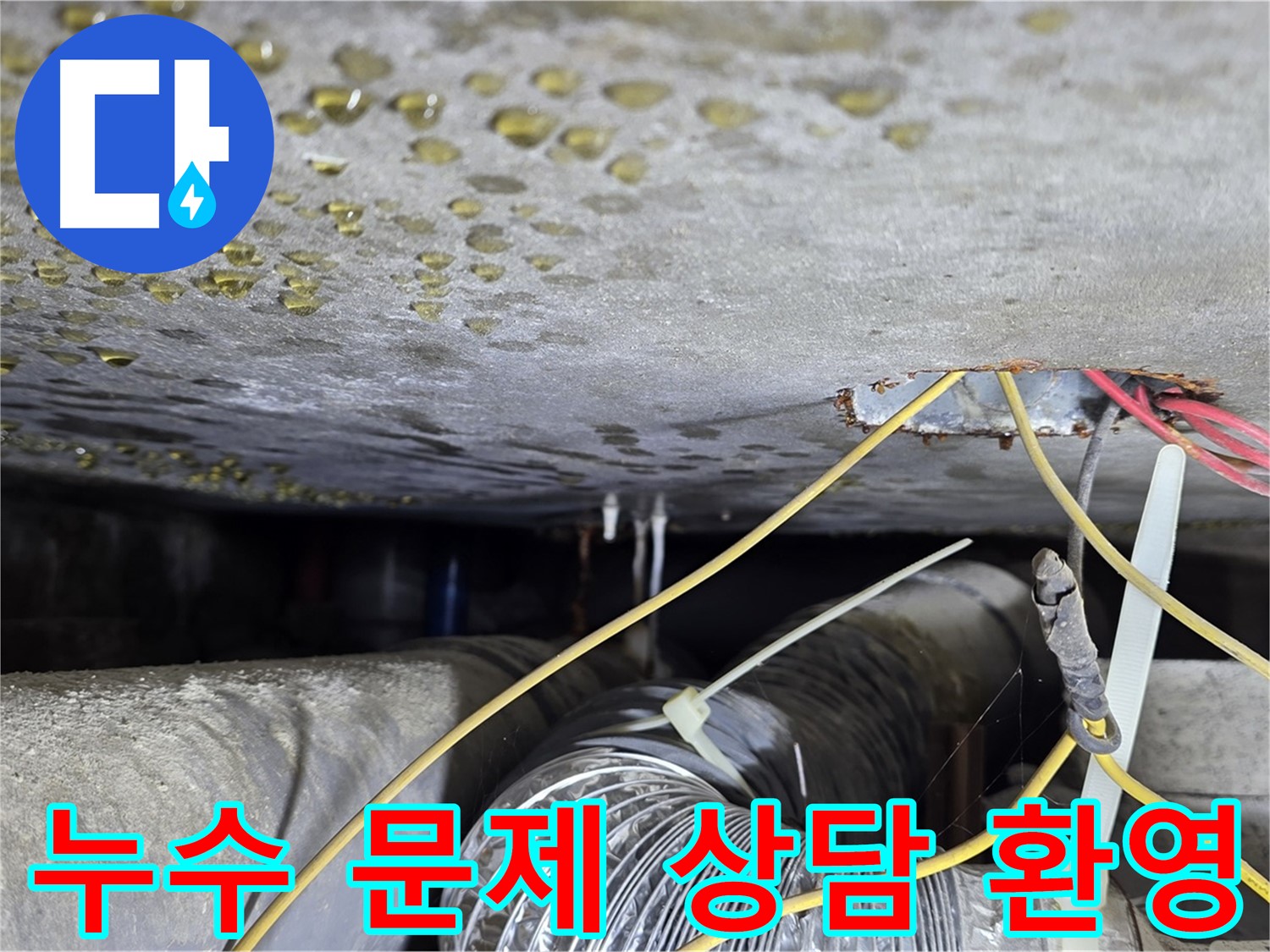 누수 문제 상담 환영 - 콘크리트 균열 및 배관 문제 관련 모든 누수 상담