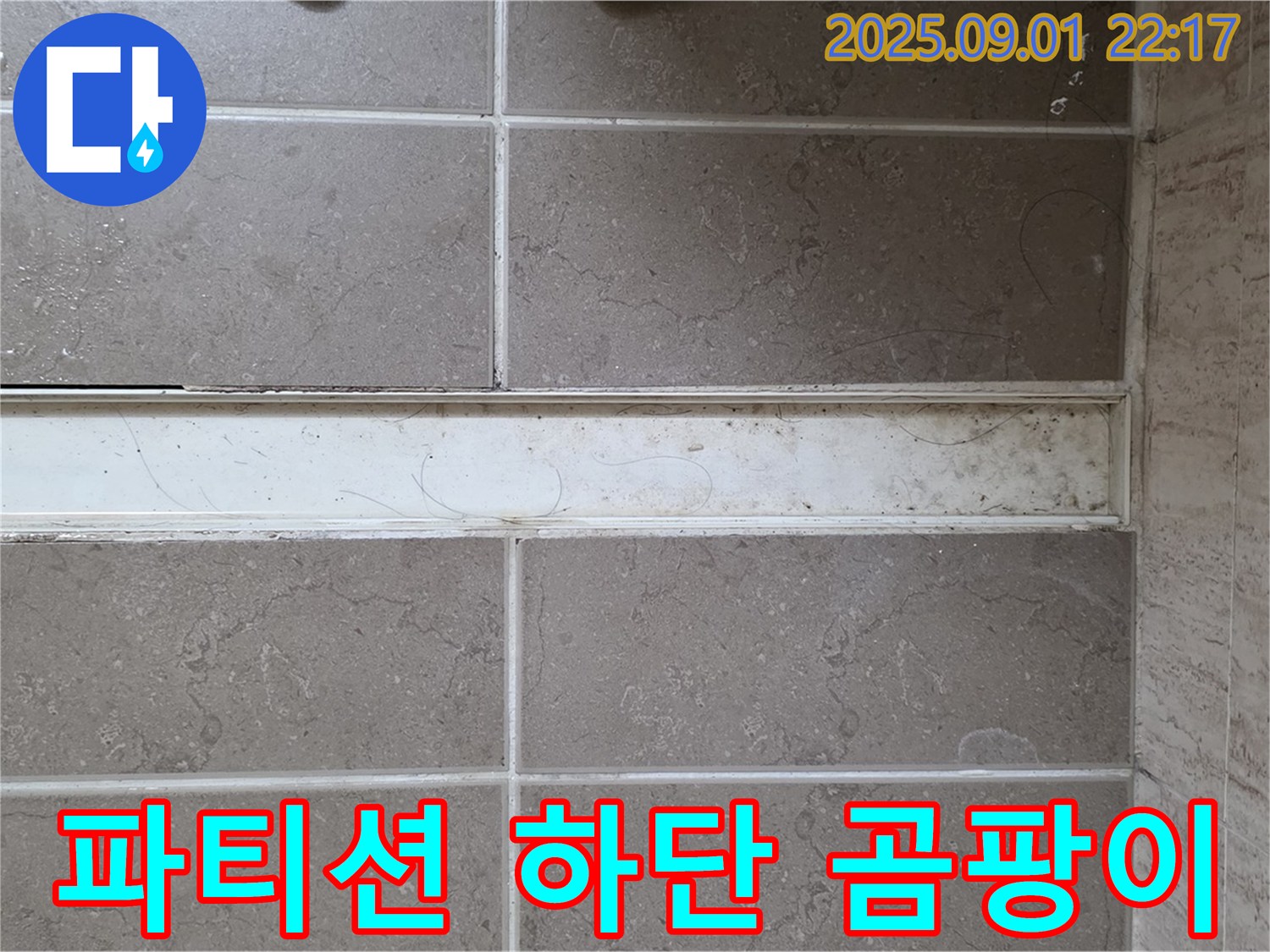 포천 일동 아파트 샤워 파티션 하단 곰팡이 - 누수 진행 중