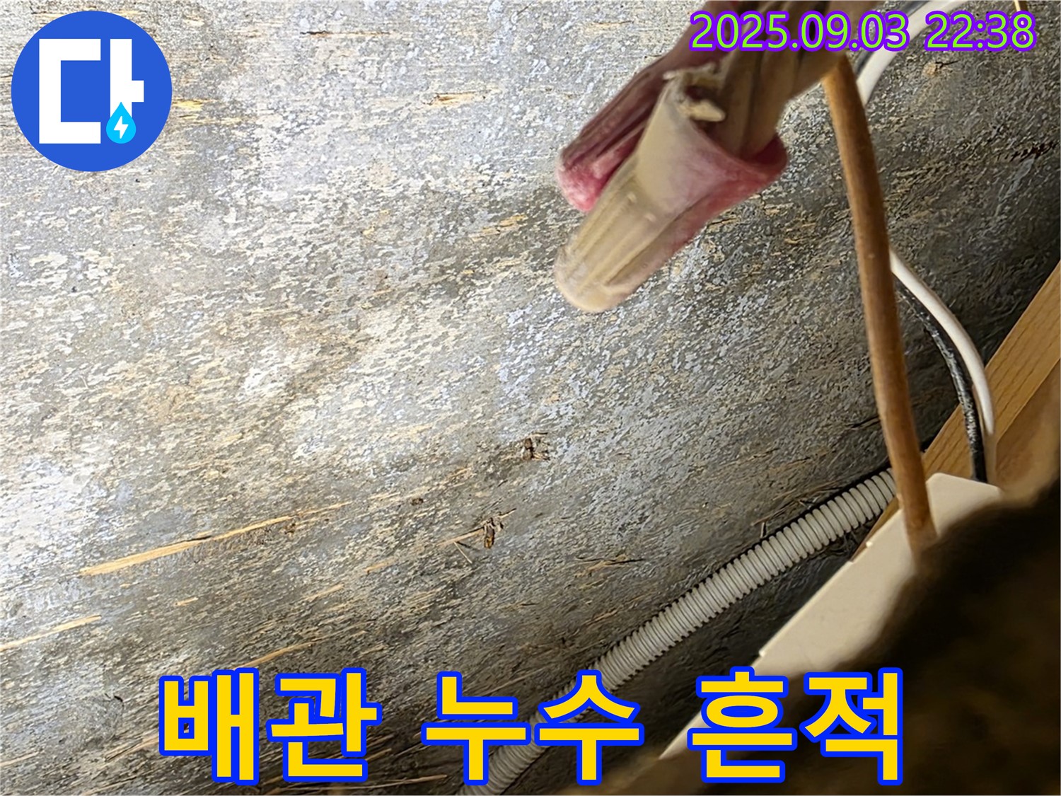 용산구 한강로2가 누수 현장 - 배관 누수 흔적 발견
