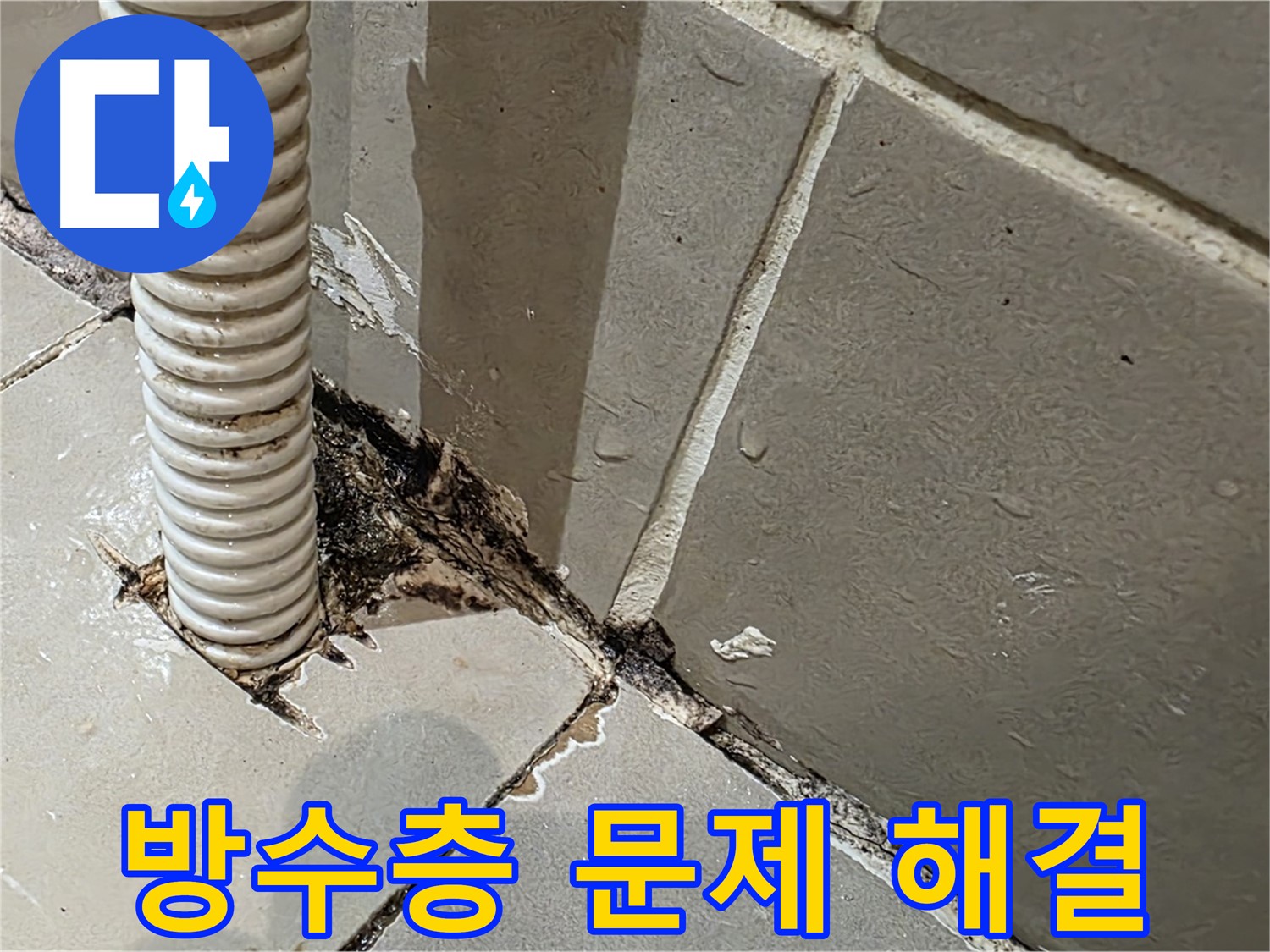 용산구 상가 화장실 누수 - 메지 불량 및 방수층 크랙으로 인한 누수 문제 진단