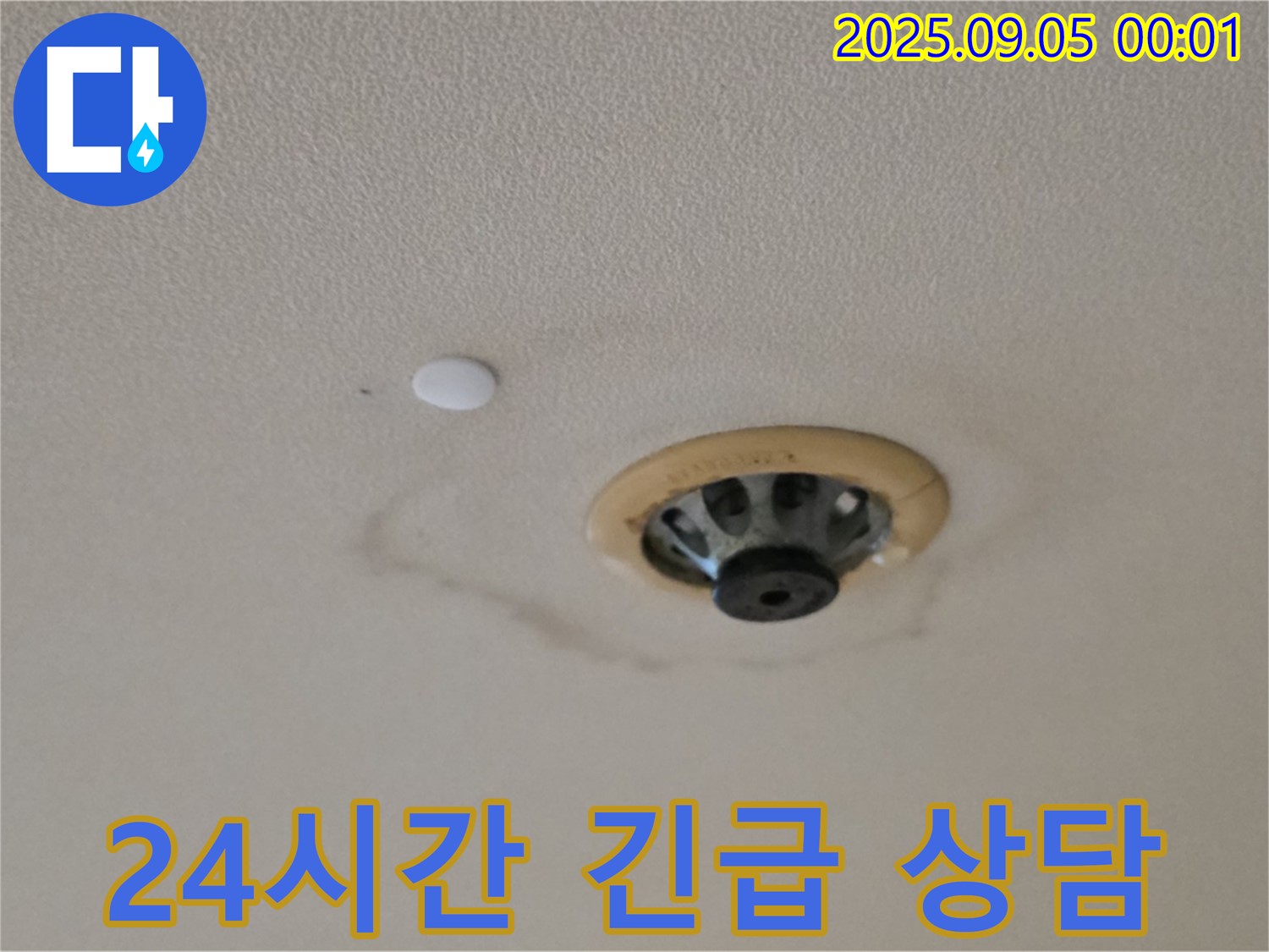 24시간 긴급 상담 - 언제든지 문의하세요.