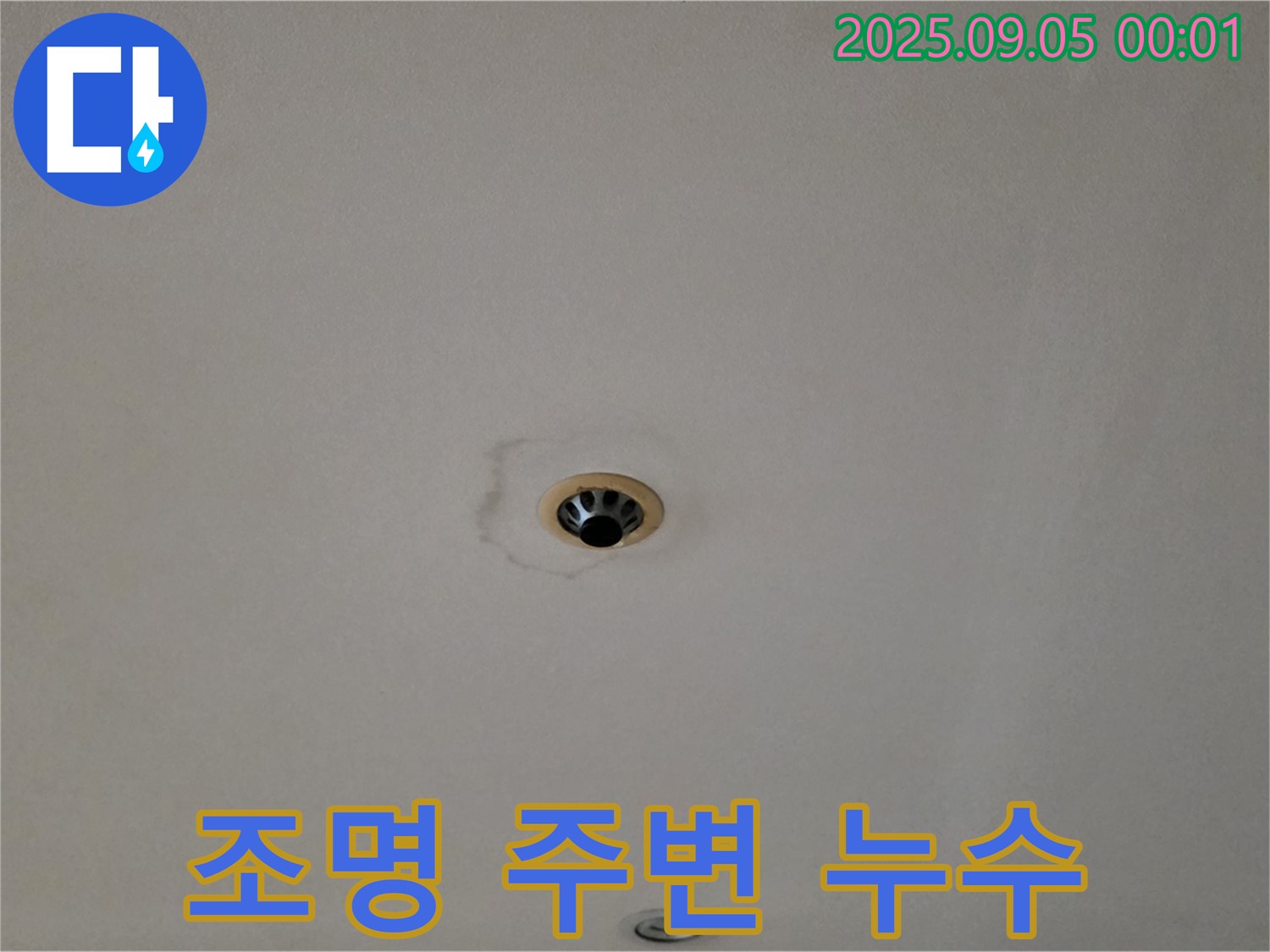 조명 주변 천장 누수 - 전기 위험 주의