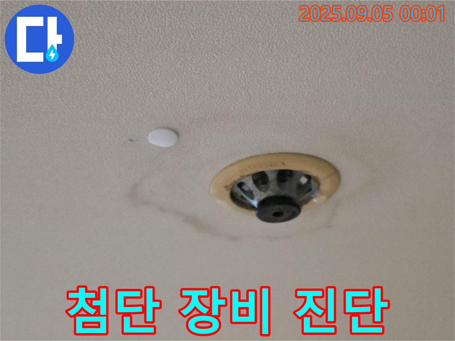 첨단 장비 진단 - 누수 위치 정확하게 파악.