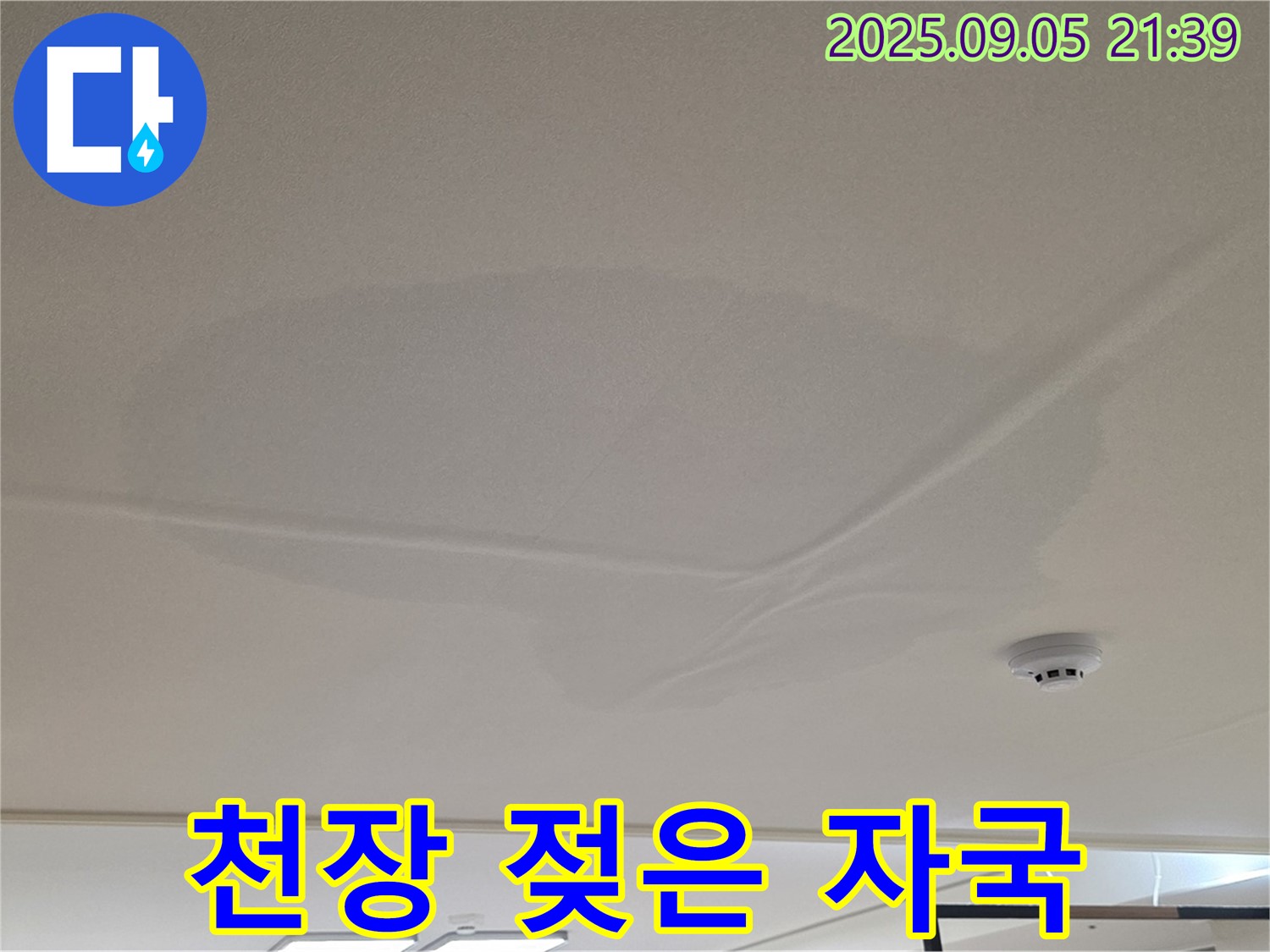 면목동 아파트 누수 - 천장 젖은 자국, 누수 의심