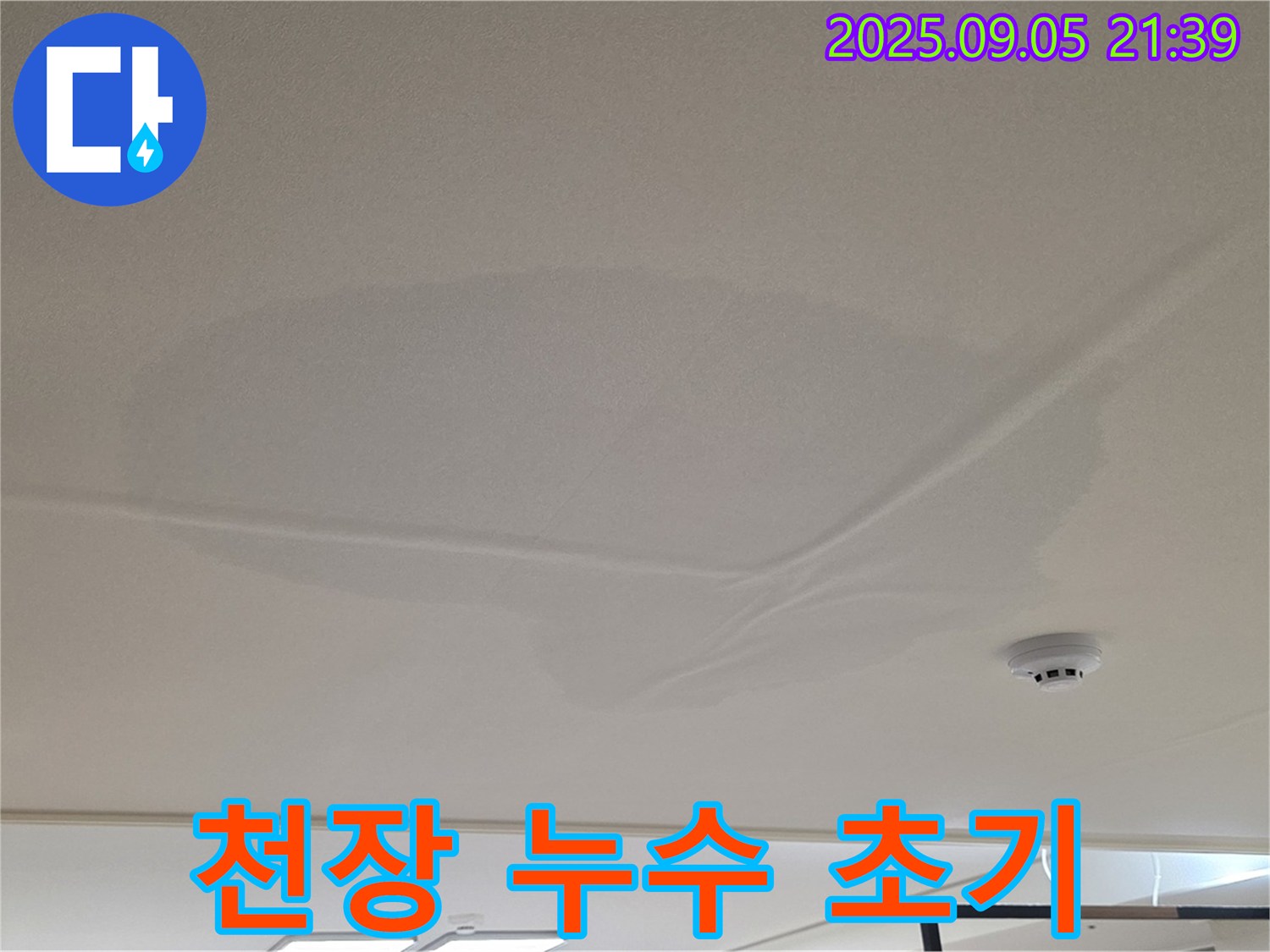 면목동 아파트 천장 누수 - 초기 누수 발견, 젖은 천장