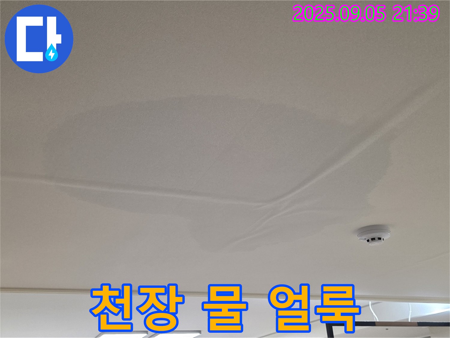 사가정 센트럴아이파크 아파트 누수 - 천장 물 얼룩