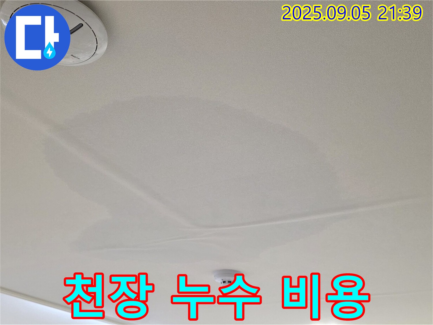 사가정 센트럴아이파크 천장 누수 - 젖어있는 천장, 합리적인 비용