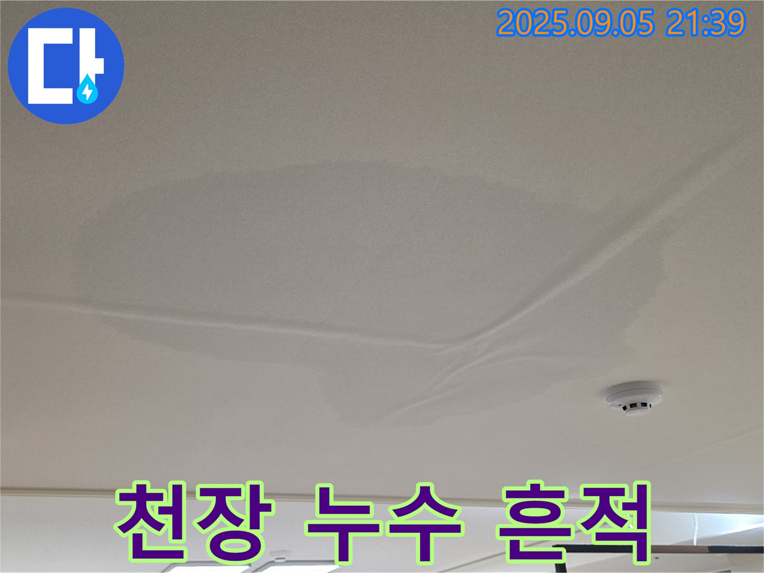 사가정 센트럴아이파크 - 천장 누수 흔적, 젖은 천장