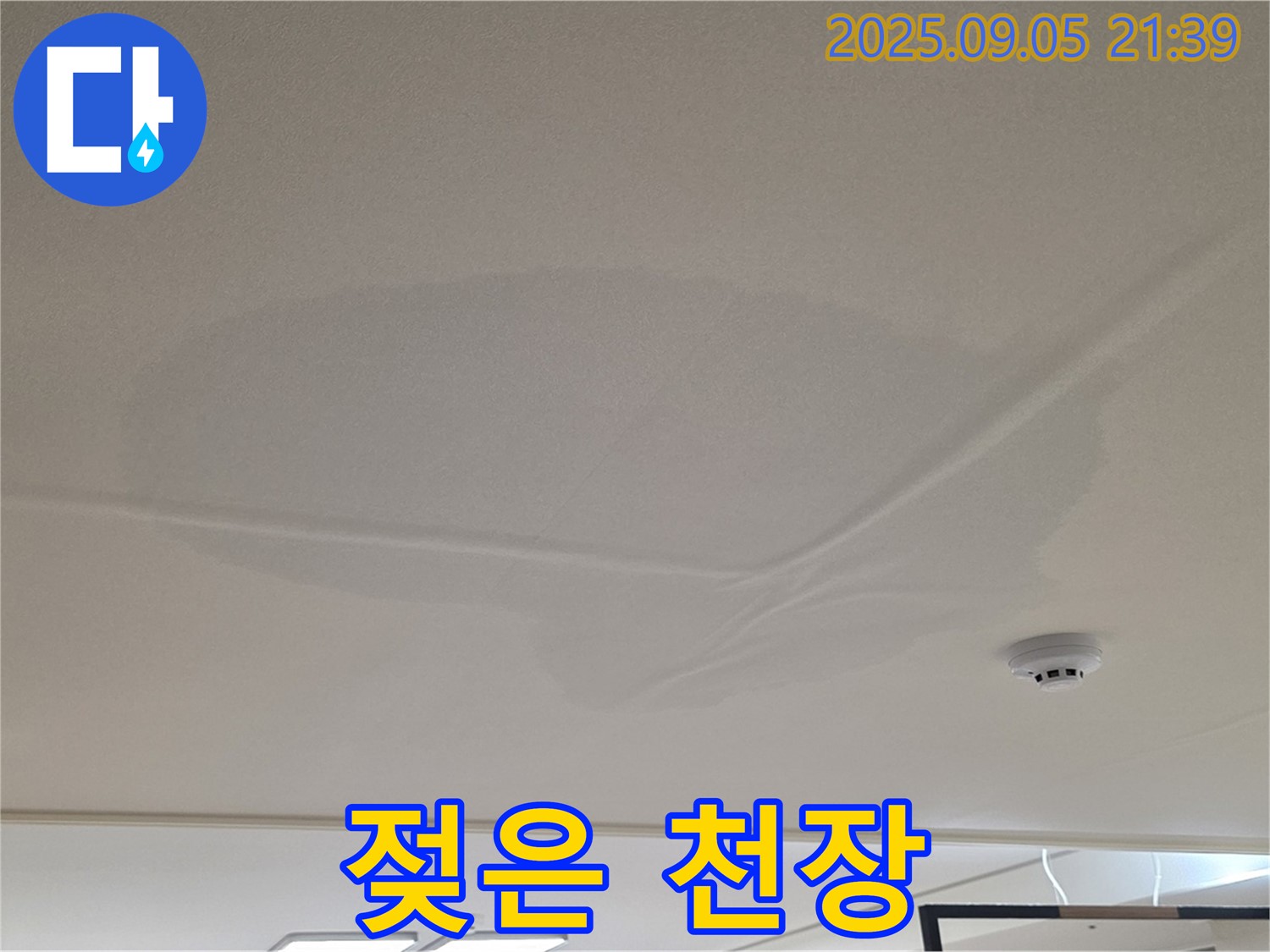 사가정 센트럴아이파크 - 천장 젖은 흔적, 누수 의심