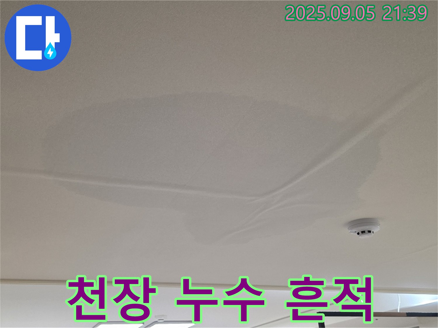 사가정 아파트 누수 - 천장 누수 흔적, 젖은 천장