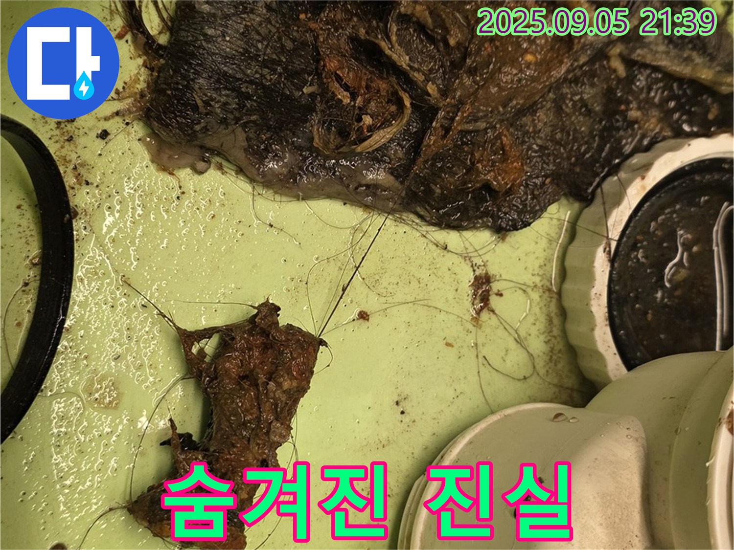 세면대 배수구 막힘 - 엉킨 머리카락 - 숨겨진 진실