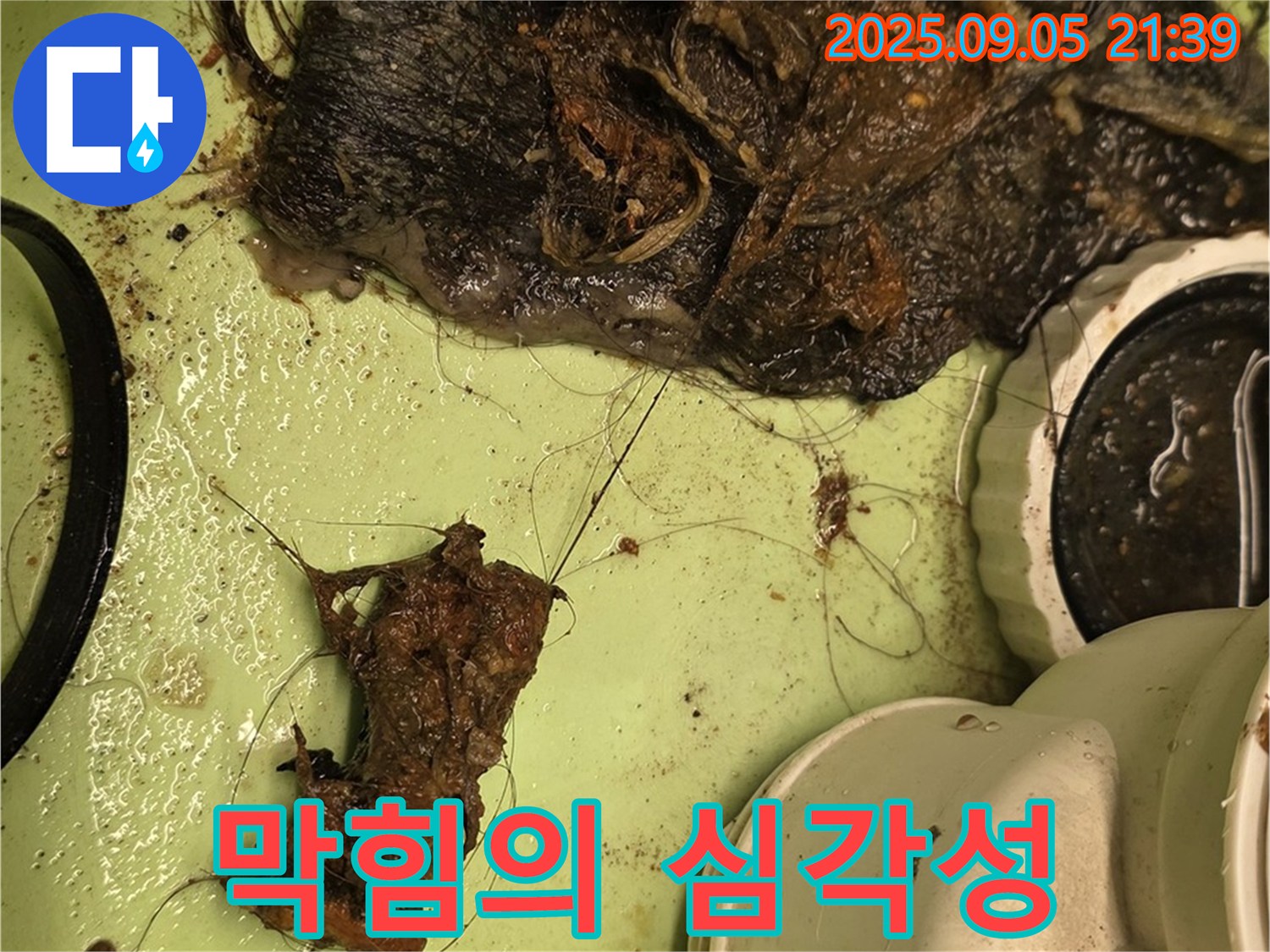 세면대 배수구 막힘 - 엉킨 머리카락과 이물질 - 심각한 상태