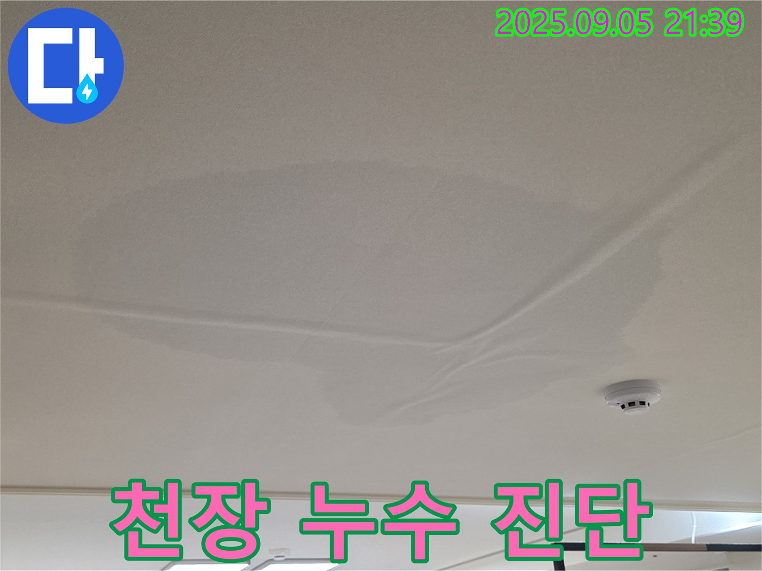 중랑구 면목동 아파트 누수 - 천장 누수 진단, 젖은 천장