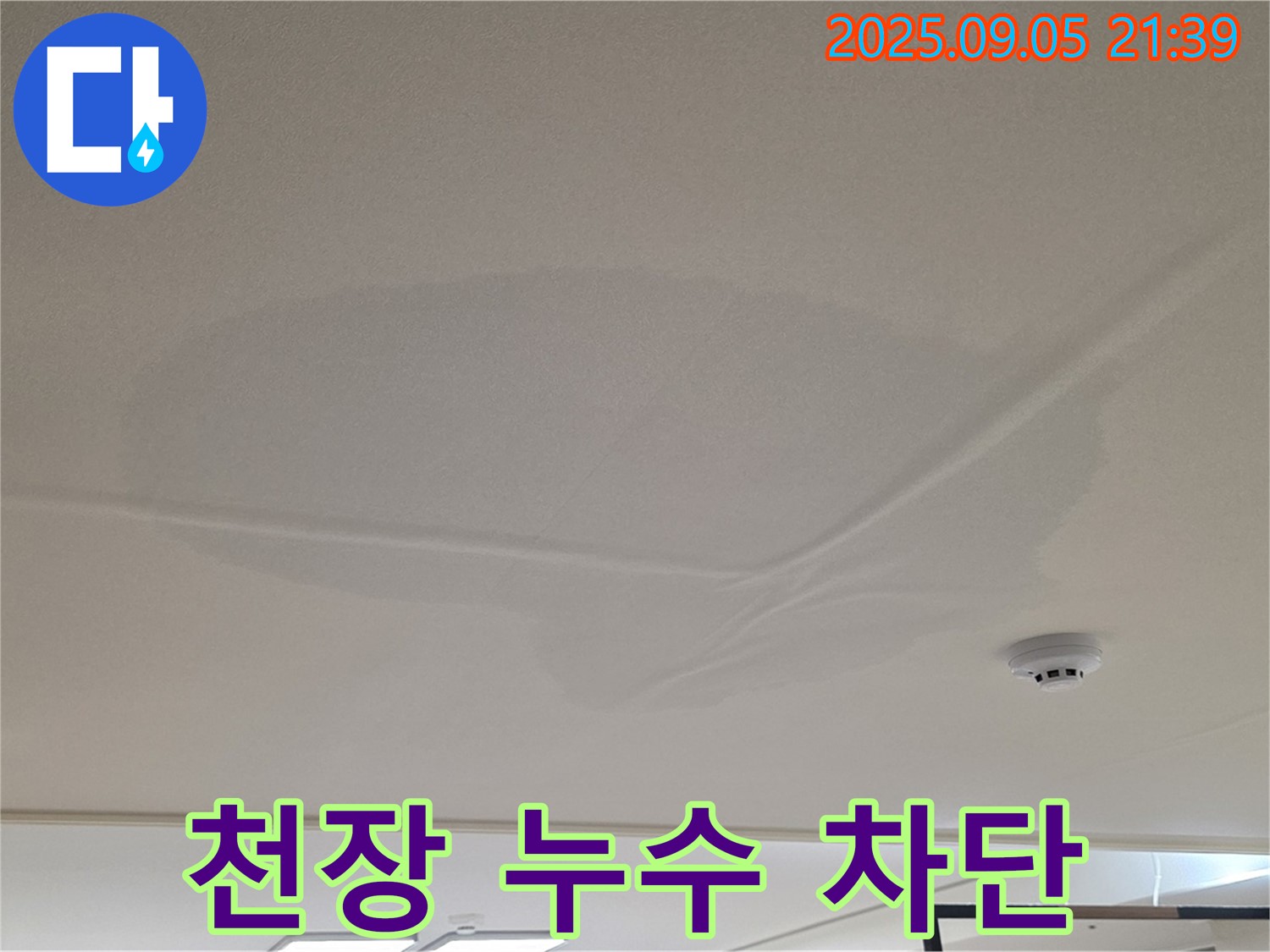 중랑구 면목동 아파트 누수 - 천장 누수 차단, 젖은 천장