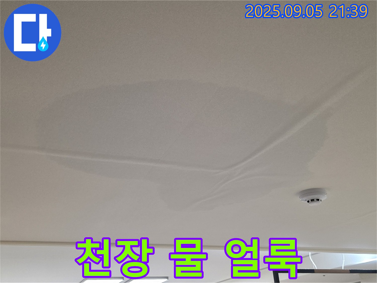 중랑구 면목동 아파트 누수 - 천장 물 얼룩, 젖은 천장