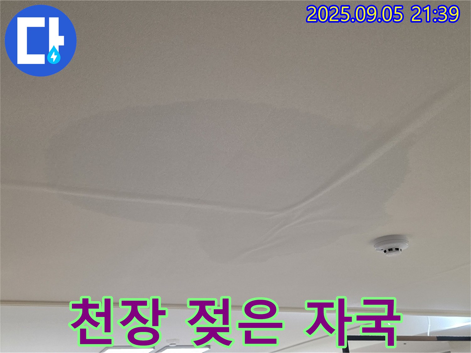 중랑구 면목동 아파트 천장 누수 - 젖은 자국