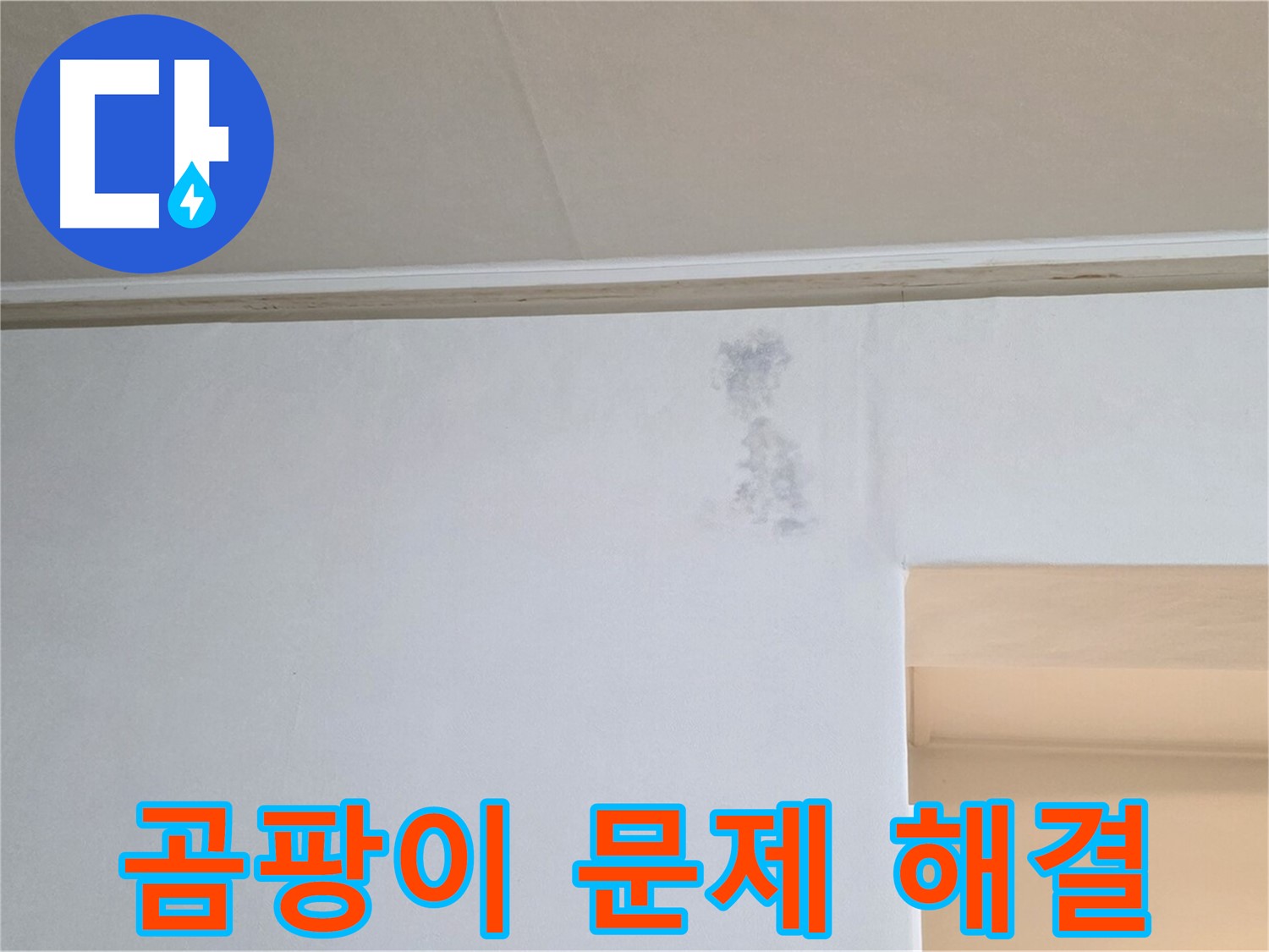 곰팡이 문제 근본적 해결 - 쾌적한 주거 환경