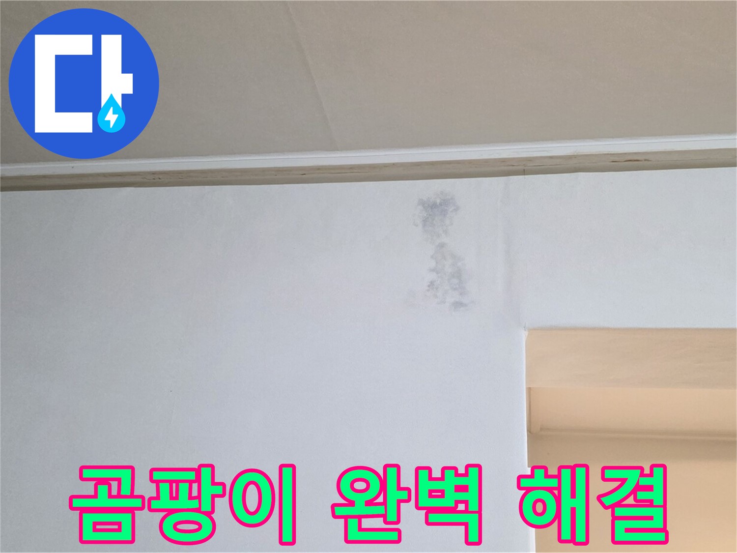 곰팡이 문제 완벽 해결 자신 - 신뢰와 책임