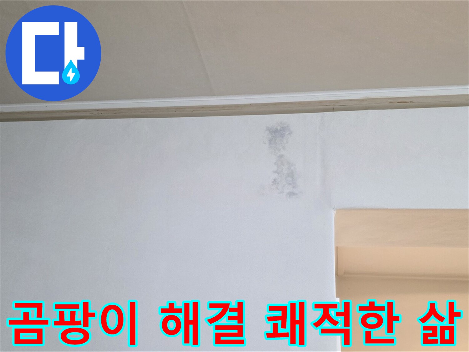 곰팡이 문제 해결 - 고객님의 쾌적한 삶
