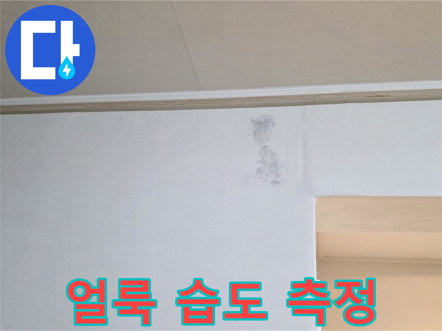 곰팡이 얼룩 습도 측정 - 누수 진단 과정