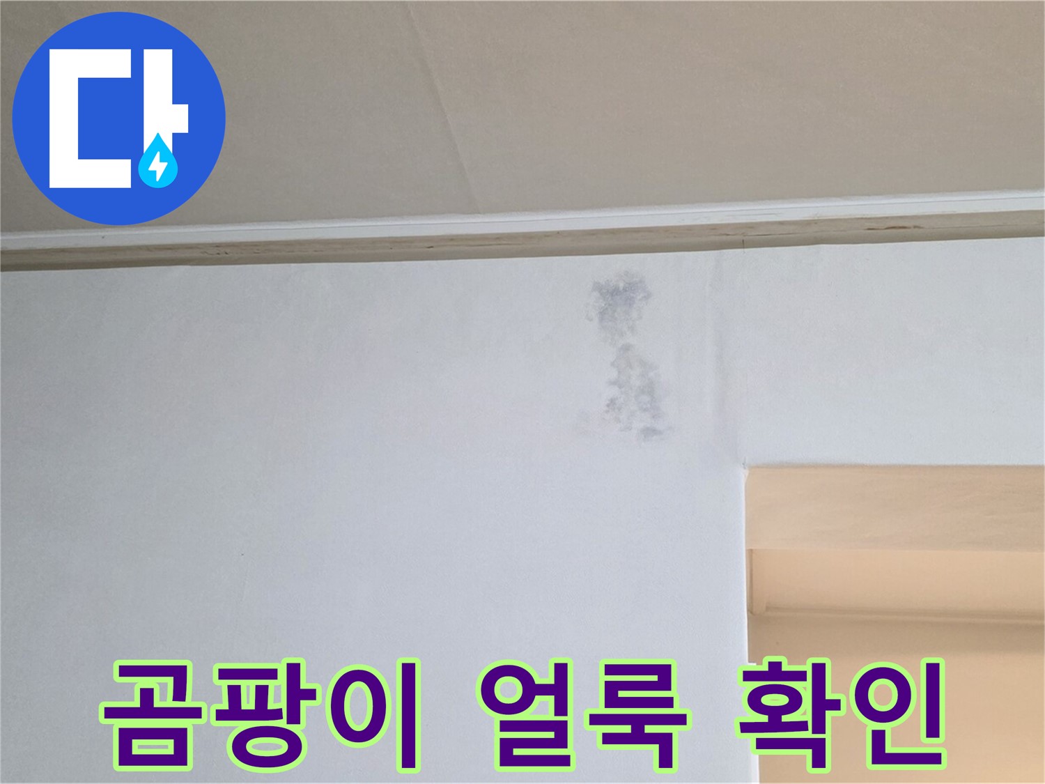 곰팡이 얼룩 확인 - 누수 의심 초기 증상