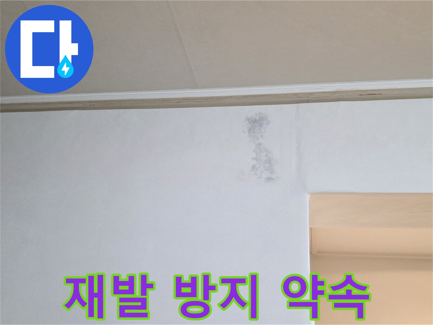 곰팡이 재발 방지 약속 - 책임 시공