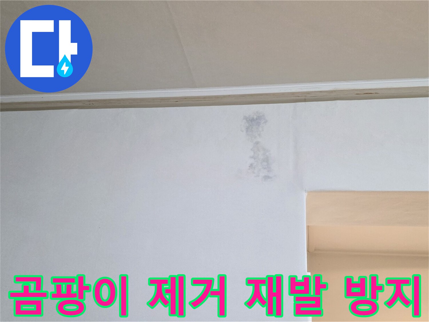 곰팡이 제거 및 재발 방지 시공 - 쾌적한 공간 조성