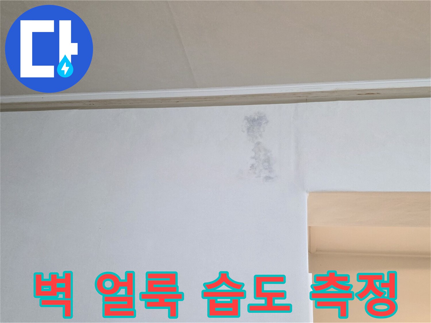 벽 얼룩 주변 습도 측정 - 누수 원인 정밀 진단