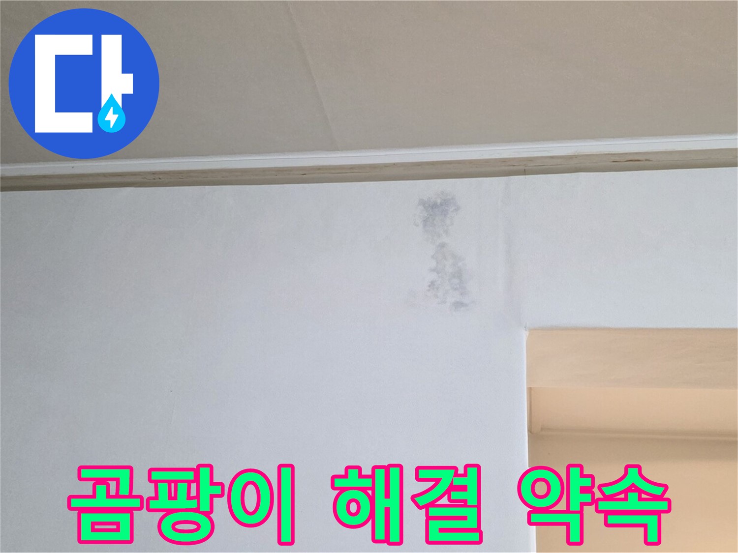 곰팡이 문제 완벽 해결을 약속드립니다 - 믿고 맡겨주세요