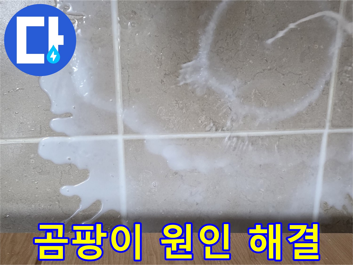 싱크대 옆 바닥 곰팡이 - 누수 원인 해결