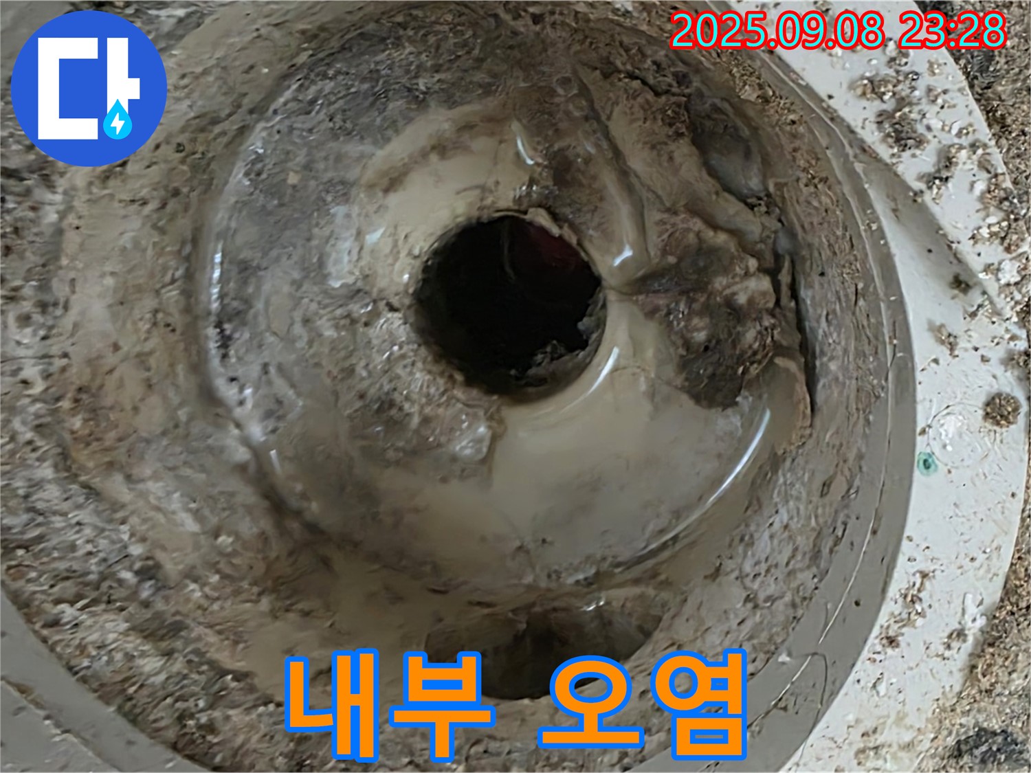 배수구 내부 오염 집중 확인