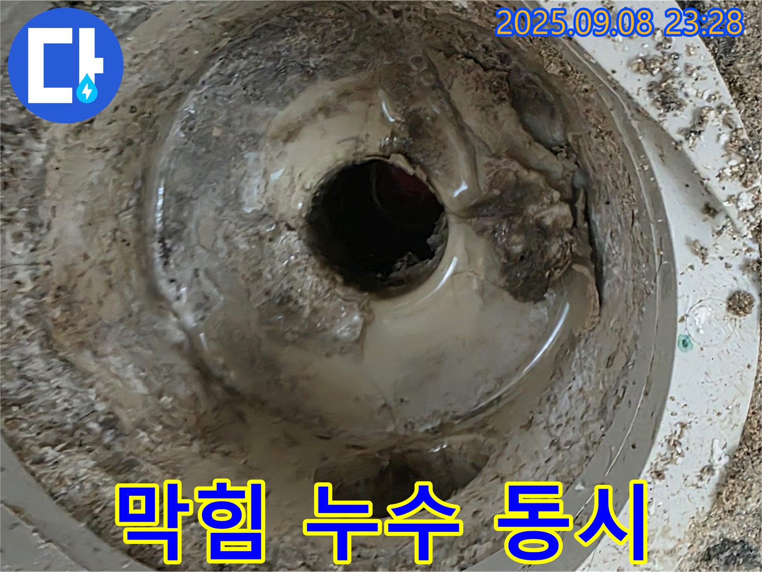 배수구 막힘과 누수 동시 발생