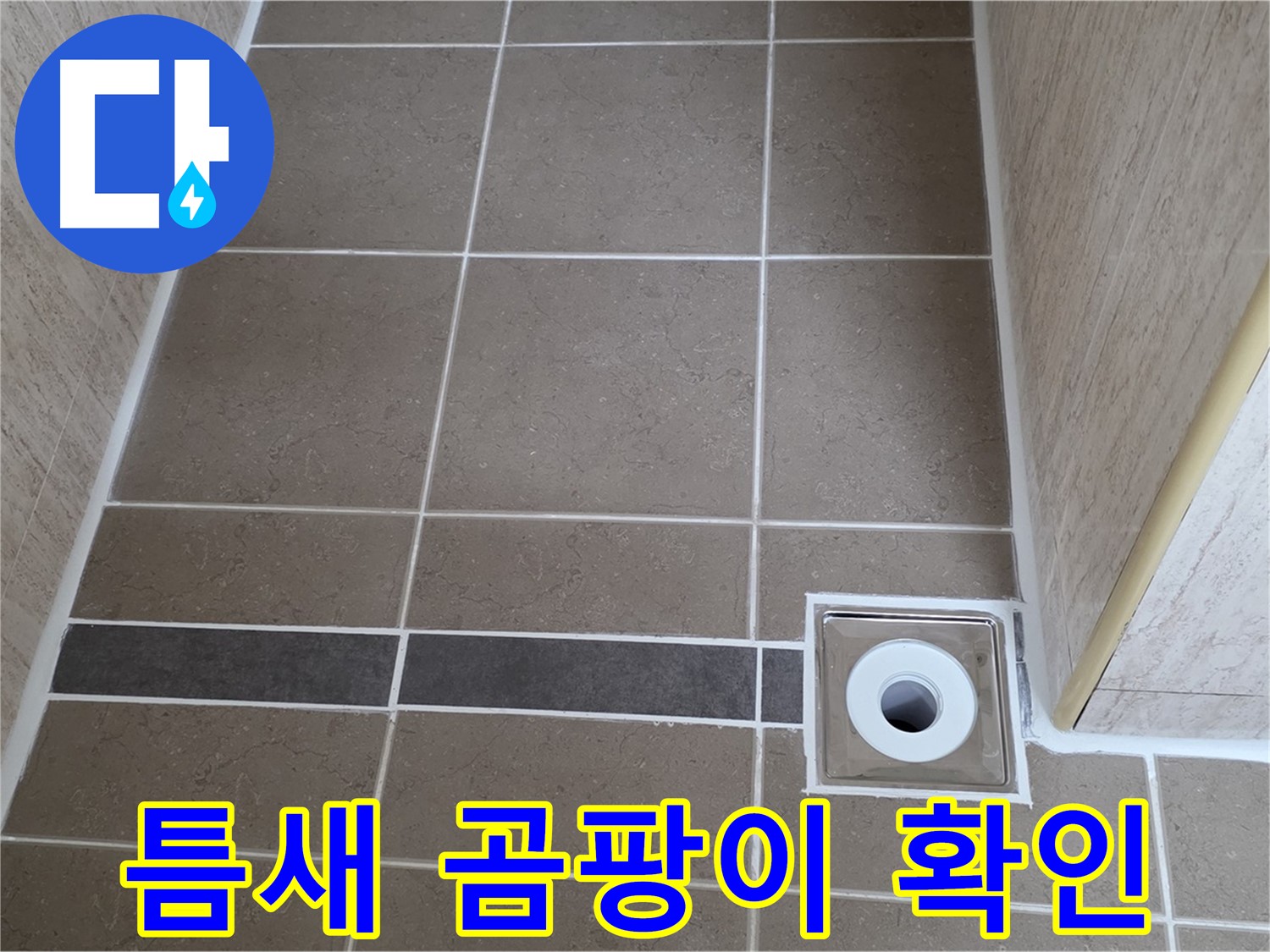 배수구 주변 틈새 - 곰팡이 발생 확인
