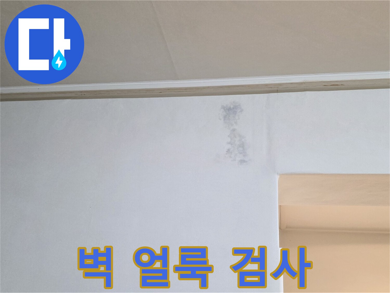 벽 얼룩 심각 - 누수 경로 파악