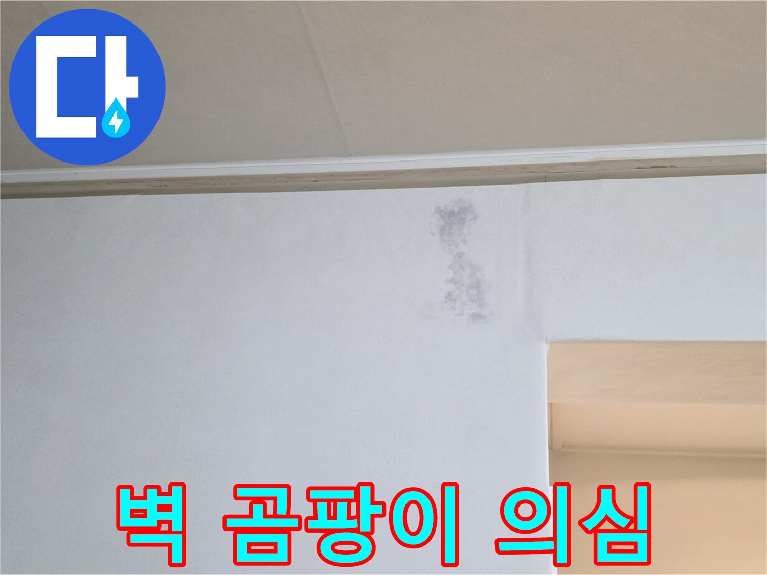 벽에 핀 곰팡이 - 누수 의심 징후