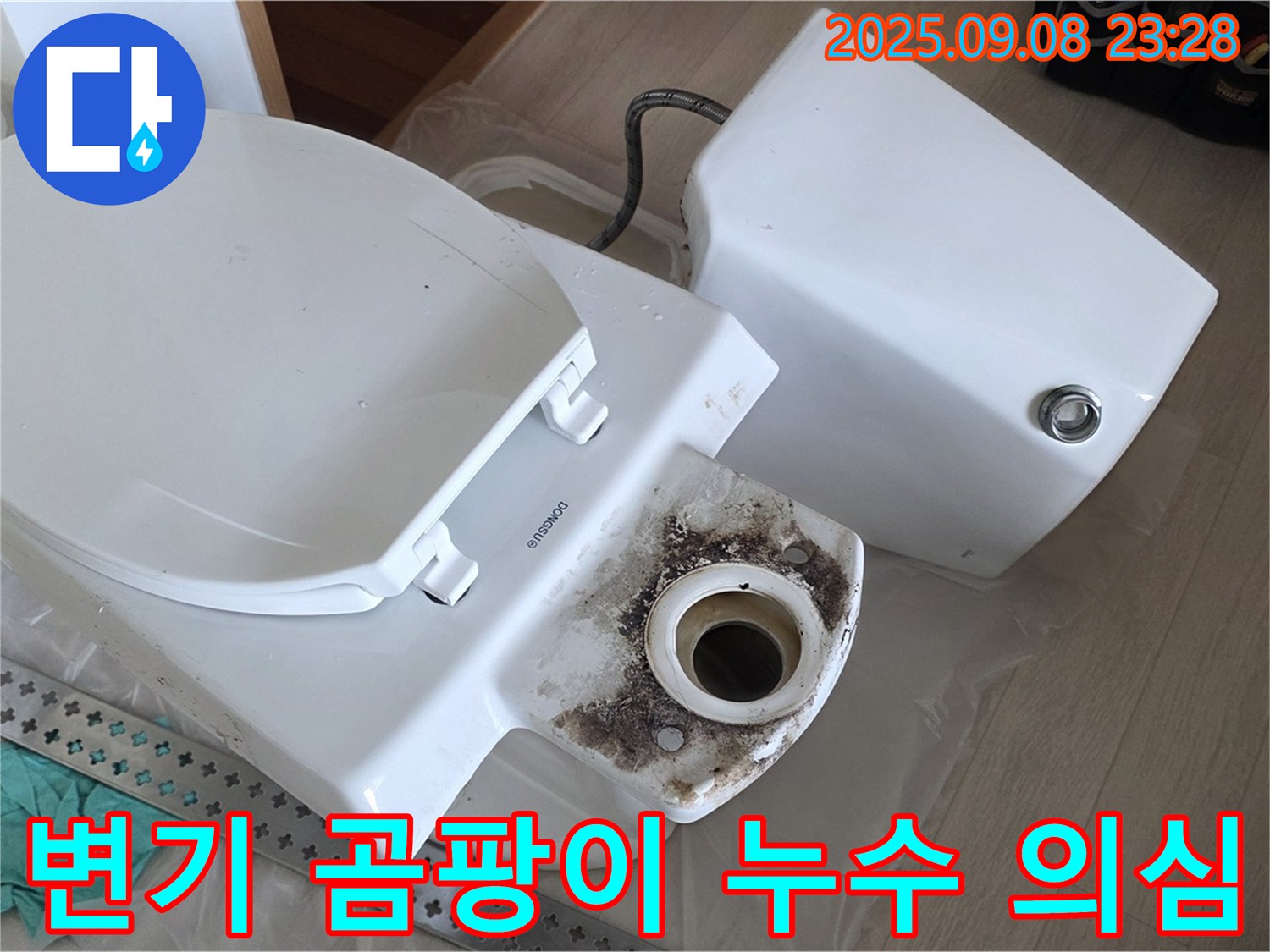 변기 곰팡이 - 누수 의심