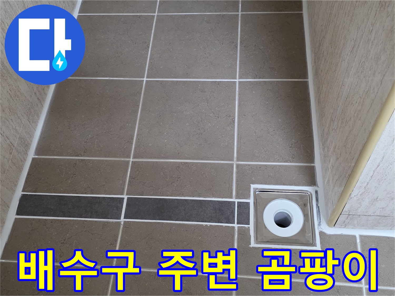 욕실 바닥 - 배수구 주변 타일 곰팡이