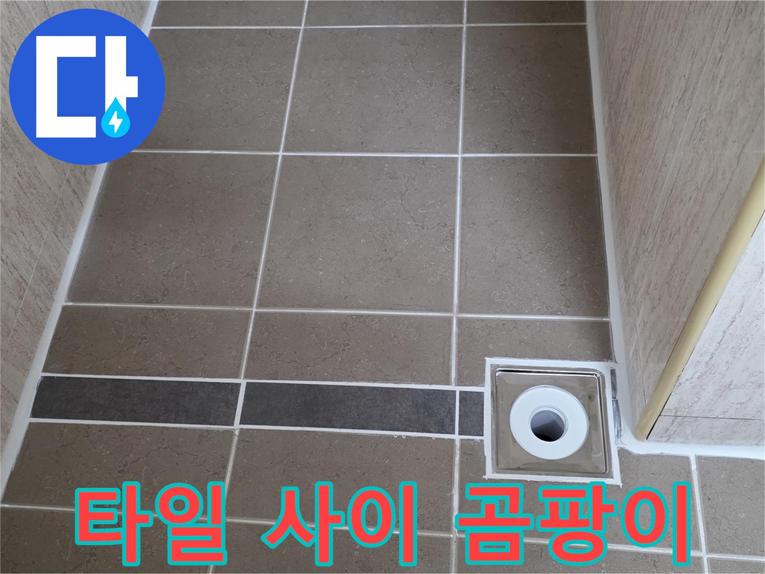 욕실 타일 사이 - 곰팡이 발생 확인