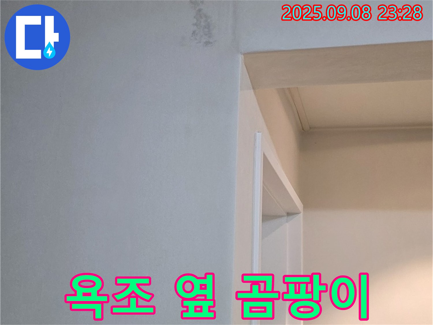 욕조 옆 곰팡이 - 곰팡이 걱정 끝