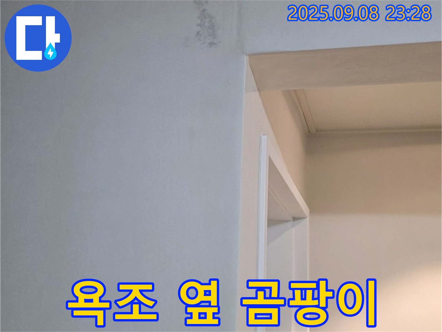 욕조 옆 곰팡이 - 냄새 동반, 긴급 상황
