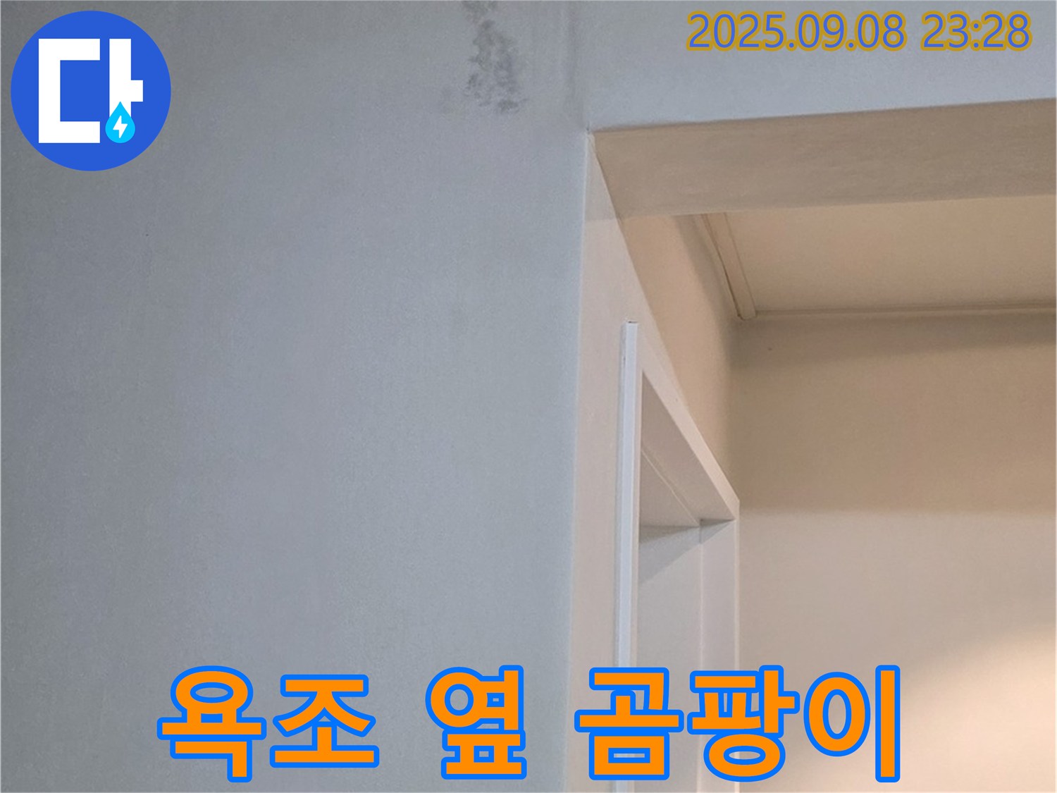 욕조 옆 곰팡이 - 냄새 동반, 즉시 연락