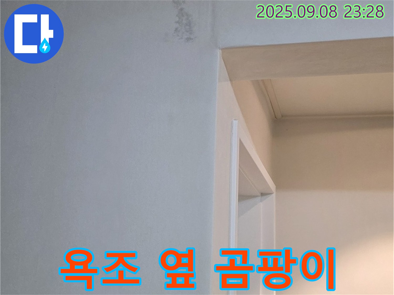욕조 옆 곰팡이 - 냄새 심각, 긴급 해결