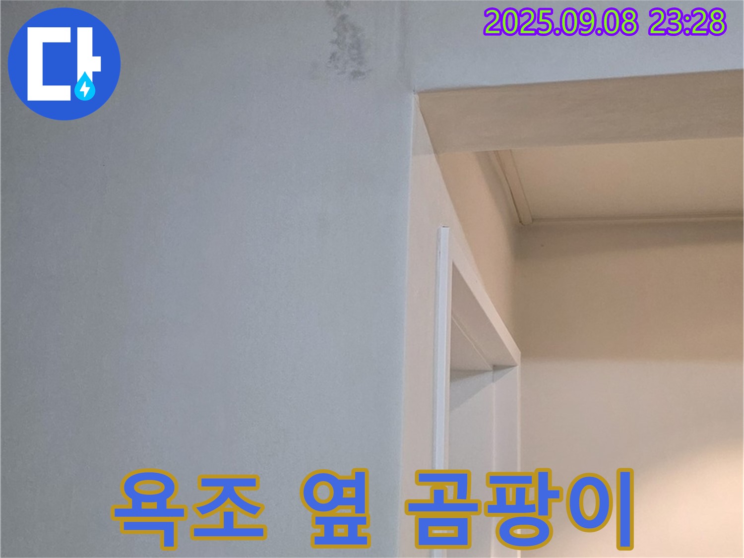 욕조 옆 곰팡이 - 냄새 심각, 즉시 연락